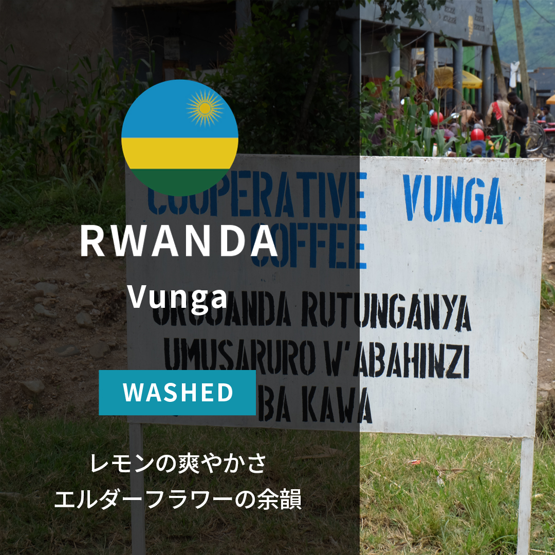 Rwanda Vunga A1 TOP Washed(24/25年クロップ) | ORIGIN COUNTRIES for